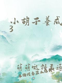 小胡子养成计划3