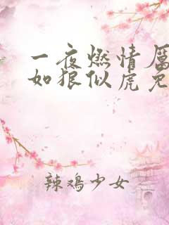 一夜燃情厉先生如狼似虎免费阅读动漫