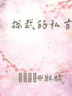 总裁的私有宝贝