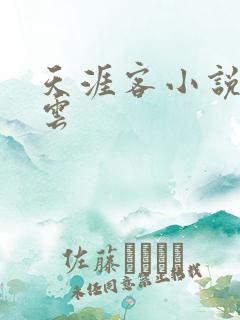 天涯客小说百度云