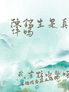 陈铭生是真实事件吗