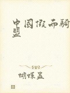 中国假面骑士联盟