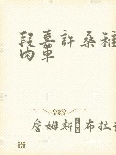 段嘉许桑稚浴室肉车