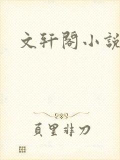 文轩阁小说网