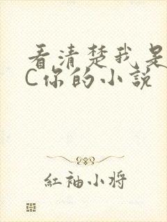 看清楚我是怎么C你的小说