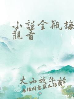 小说金瓶梅在线观看