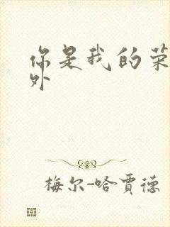 你是我的荣耀番外