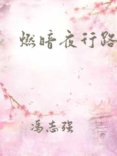 燃暗夜行路
