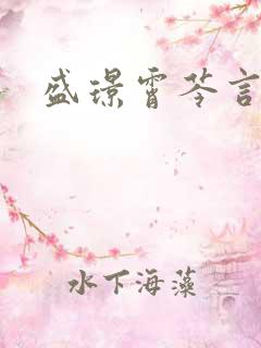 盛璟霄芩言小说