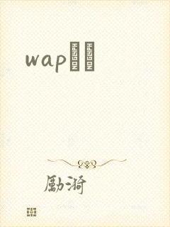 wapС˵