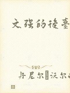 文强的后台是谁