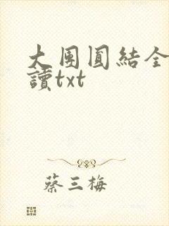 大团圆结全文阅读txt