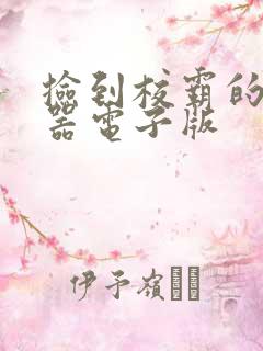 捡到校霸的遥控器电子版