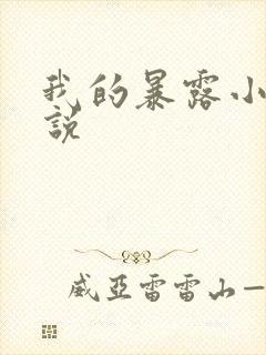 我的暴露小说小说