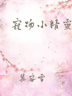 宠物小精灵漫画