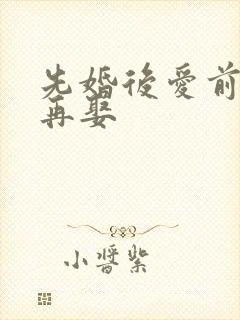 先婚后爱前妻难再娶