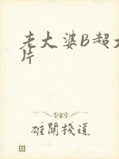 老大婆B超大图片