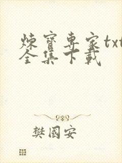 炼宝专家txt全集下载