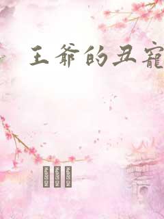 王爷的丑宠