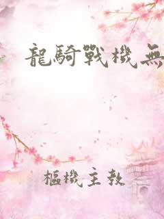 龙骑战机无弹窗