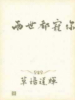 两世都宠你小说