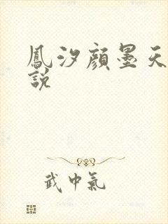 凤汐颜墨天问小说