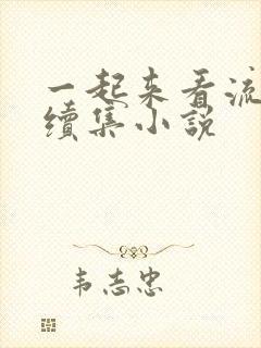 一起来看流星雨续集小说