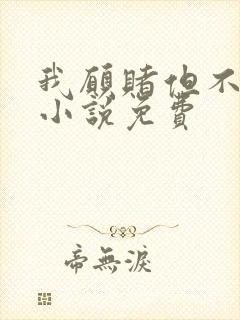 我愿赌但不服输小说免费