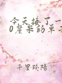 今天接了一个30厘米的单子