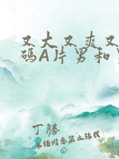 又大又爽又黄无码A片男和男