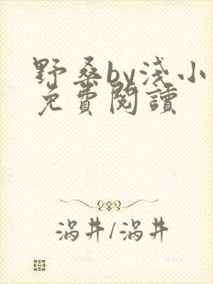 野桑by浅小说免费阅读