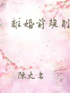 离婚前规则小说