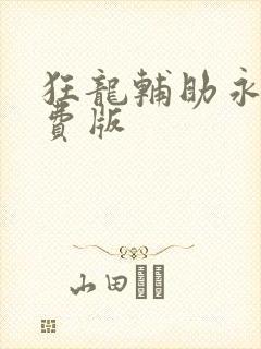 狂龙辅助永久免费版