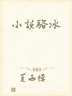 小说骆冰