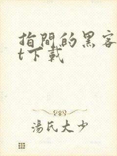 指间的黑客txt下载