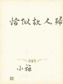 恰似故人归小说