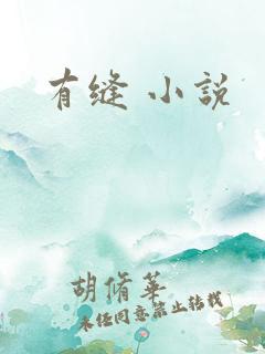 有缝 小说