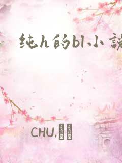 纯h的bl小说
