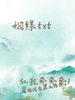 姻缘txt