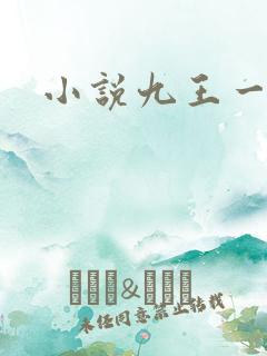 小说九王一后