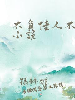 不负佳人不负卿小说