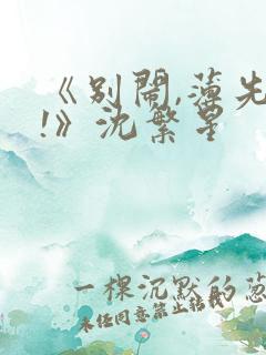 《别闹,薄先生!》沈繁星