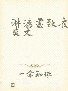 淋漓尽致夜晚小爽文