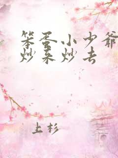 笨蛋小少爷又被炒来炒去