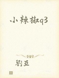 小辣椒q3