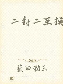 二对二互换共享