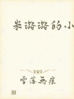 米璐璐的小说