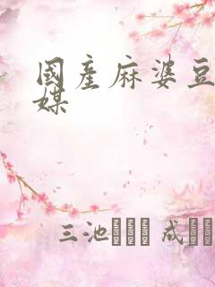 国产麻婆豆腐传媒