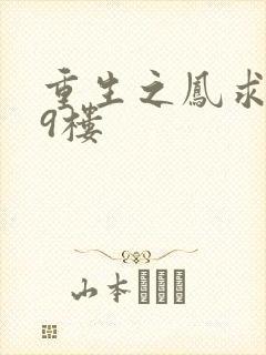 重生之凤求凰19楼