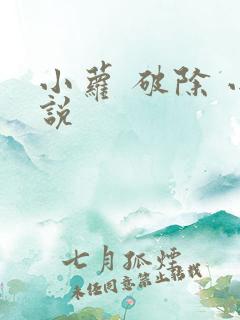 小萝 破除 小说